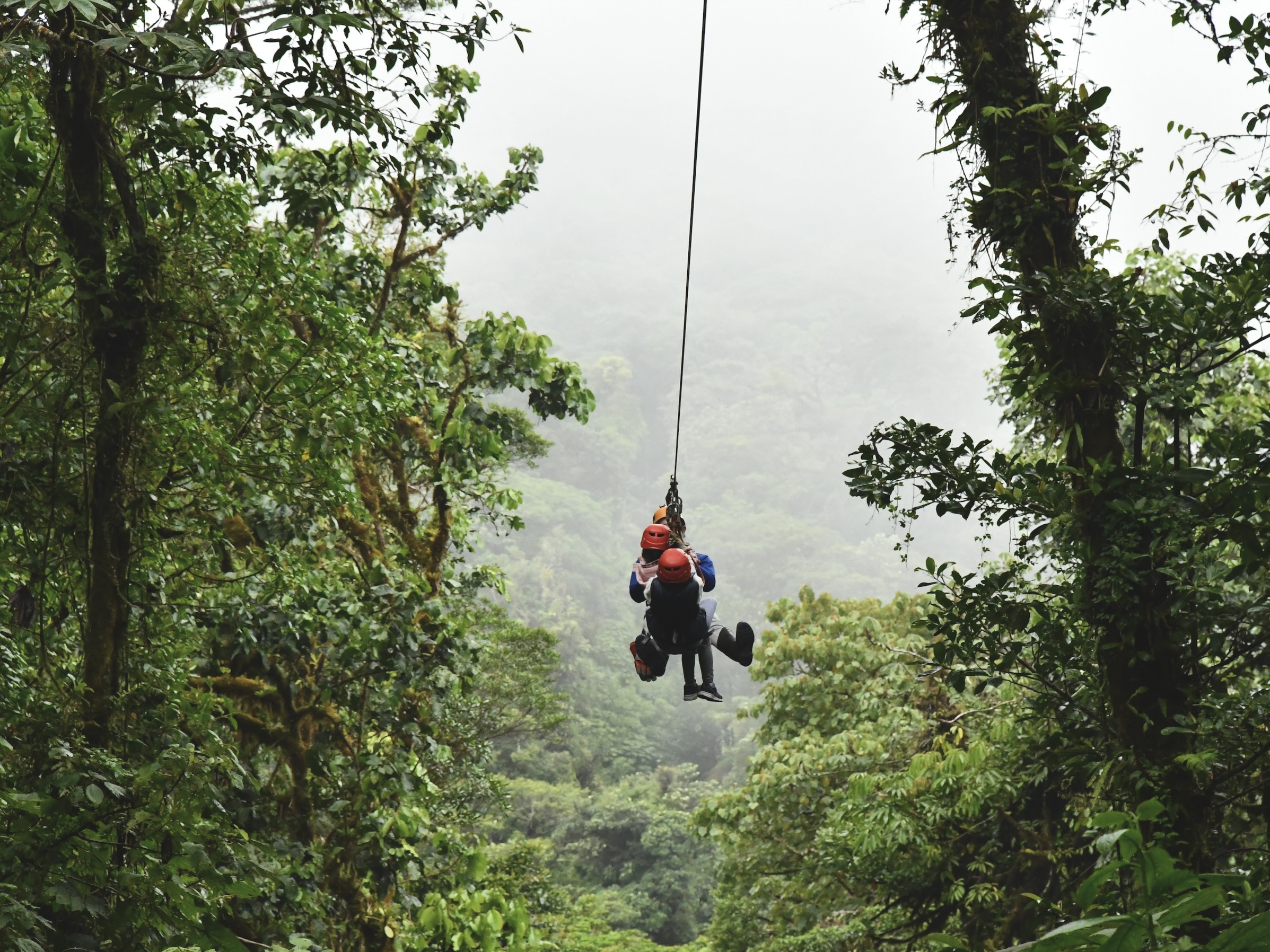 Zip Line Canopy Tour