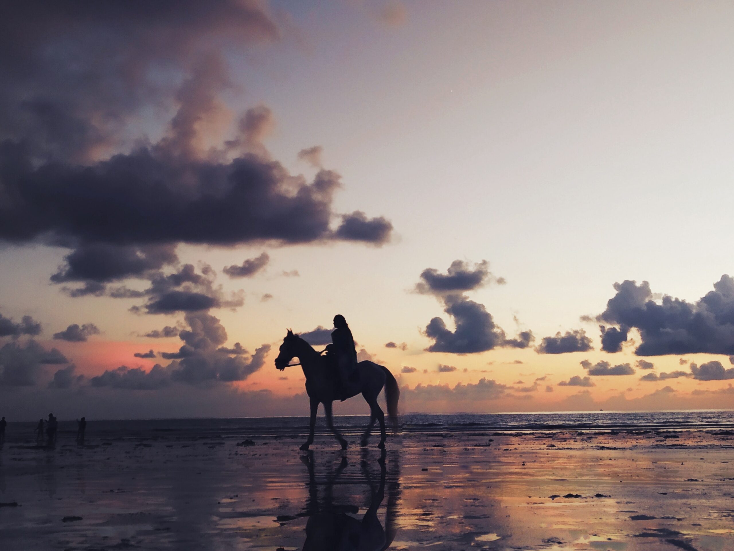 Horseback Riding on the Beach