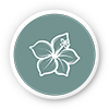 Icon Hacienda