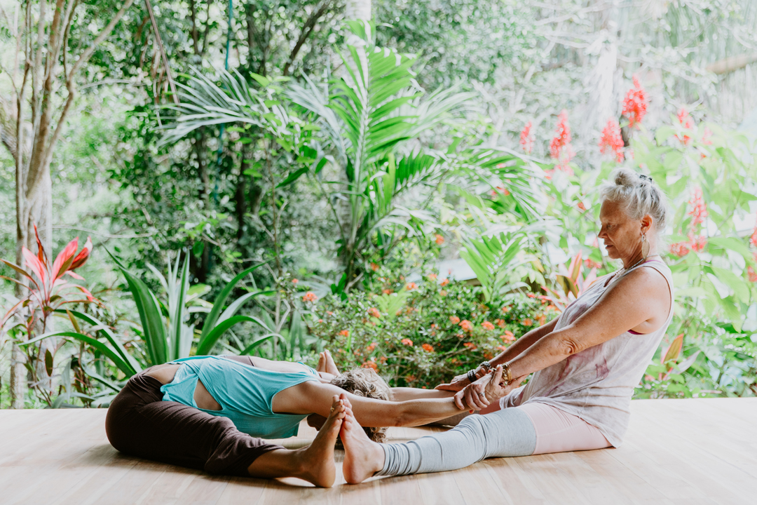 hds-carousel-assisted-stretch